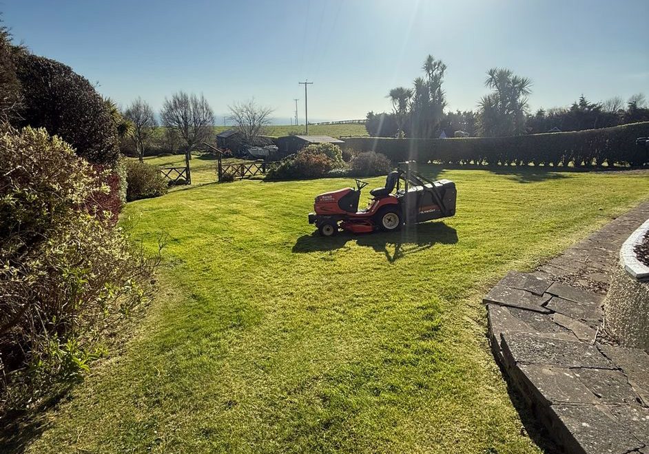 Homepage grass cutting Grass being cut on a sunny day