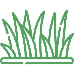 grass (6) Grass