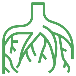 root Roots
