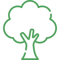 tree (2) Tree